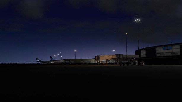 phnl-night-cross.jpg